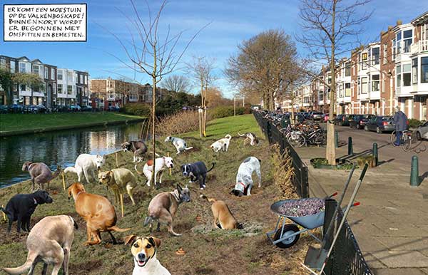 Konkreet-1-17-Cartoon–Valkenbosgaarde