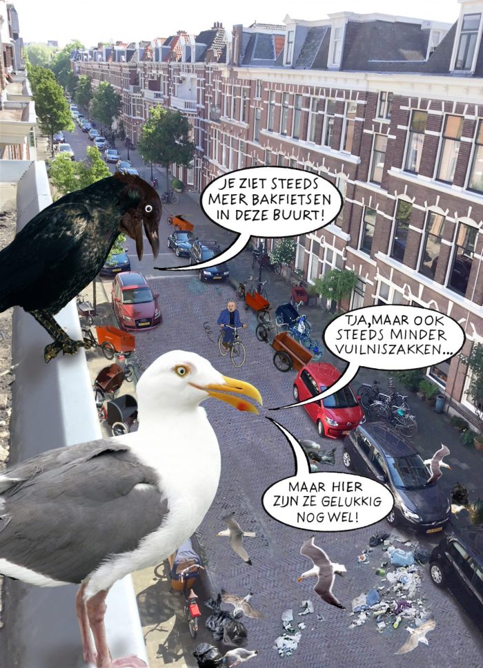 Cartoon juni 2018