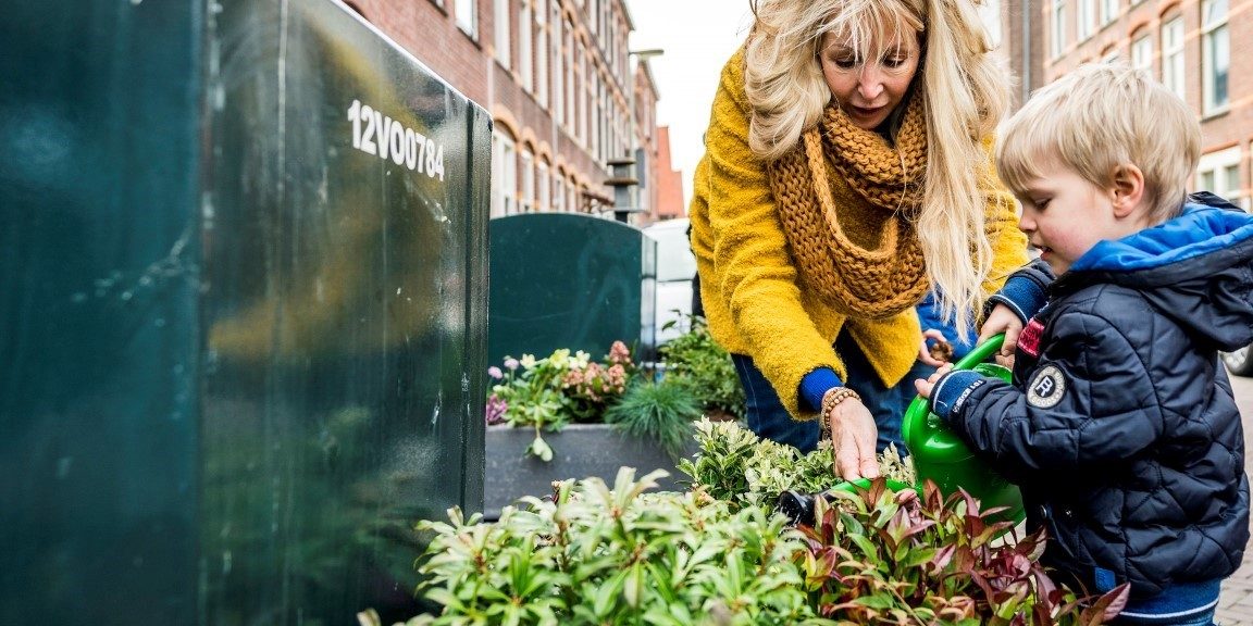 groene oracs foto van valerie kuipers