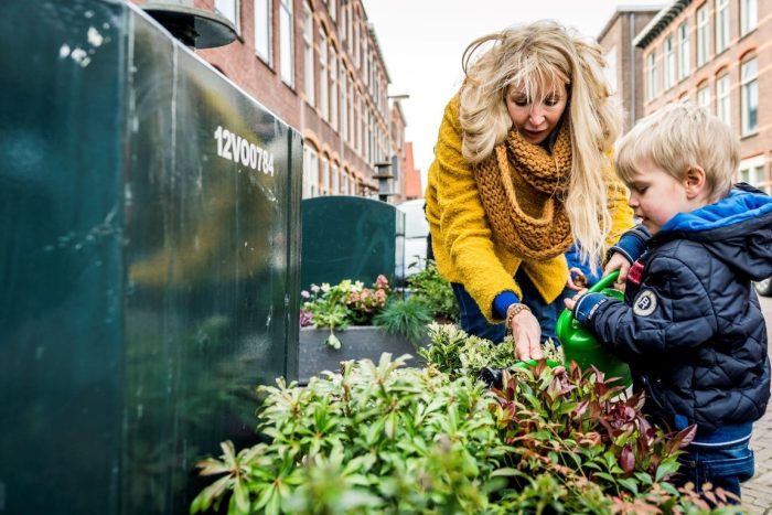 groene oracs foto van valerie kuipers