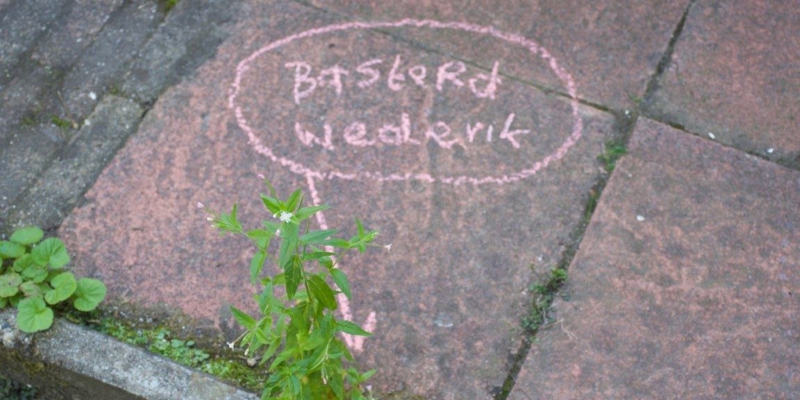 Basterd wederik