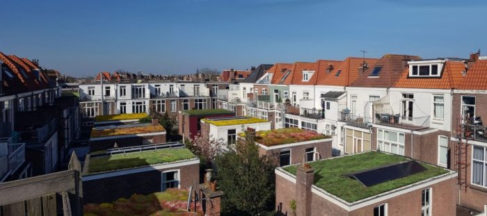 Groene daken actie