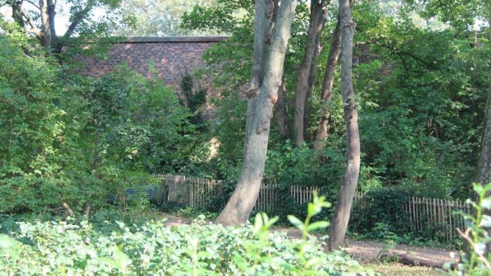 Sunny Court