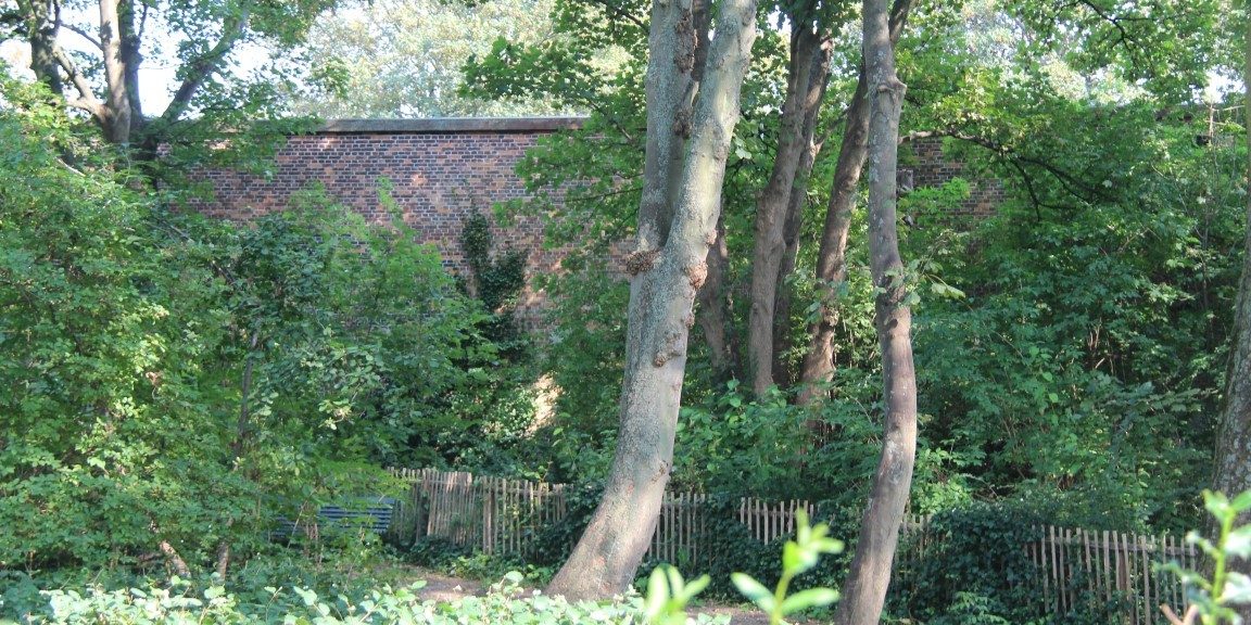 Voorkeur (Medium)