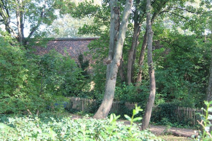 Voorkeur (Medium)
