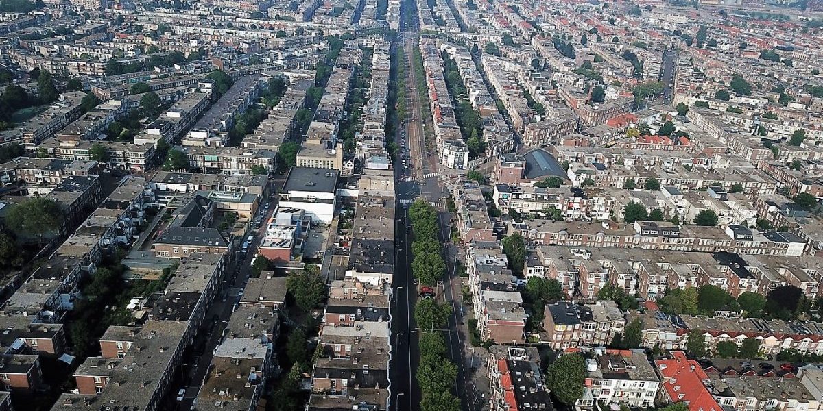 Groene buurman adviseert Groene buurman adviseert