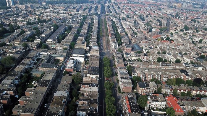 Groene buurman adviseert Groene buurman adviseert