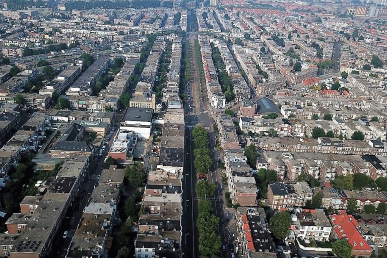 Groene buurman adviseert