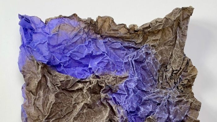 Cultuur Paper Art Uitsnede Blossom field feb 2022
