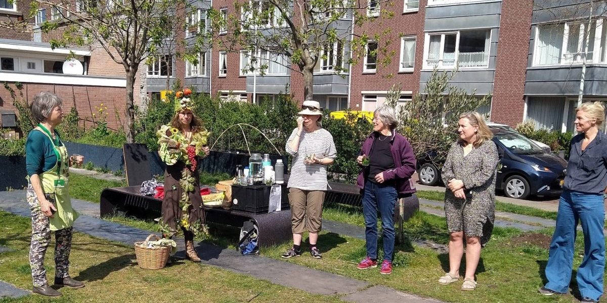 Gras van de buren