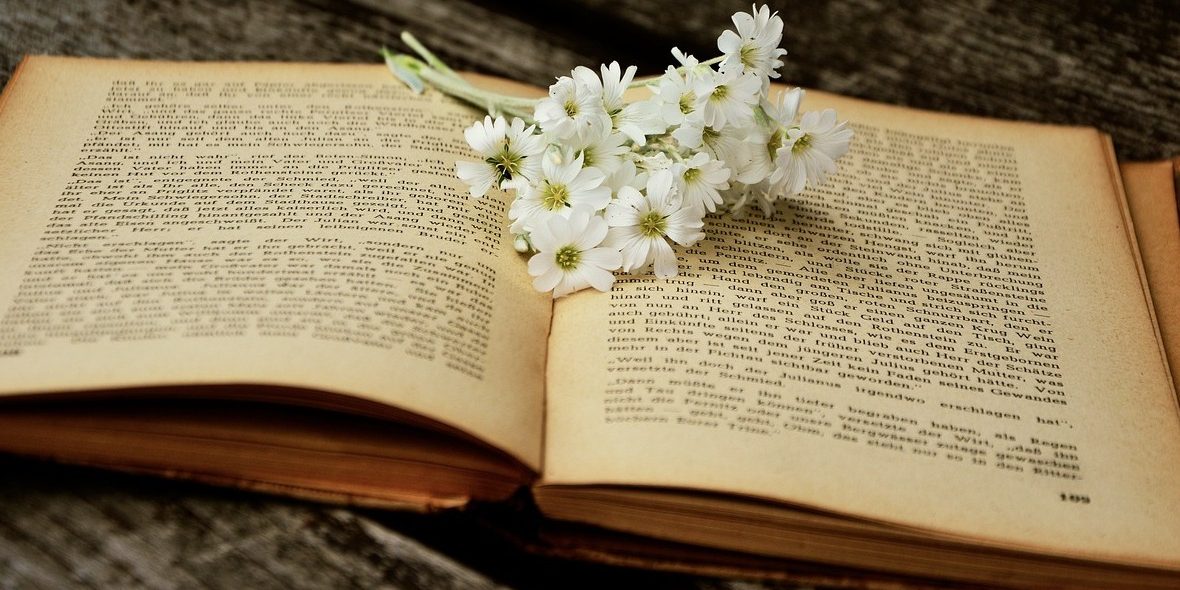 a-book-2363734_1280