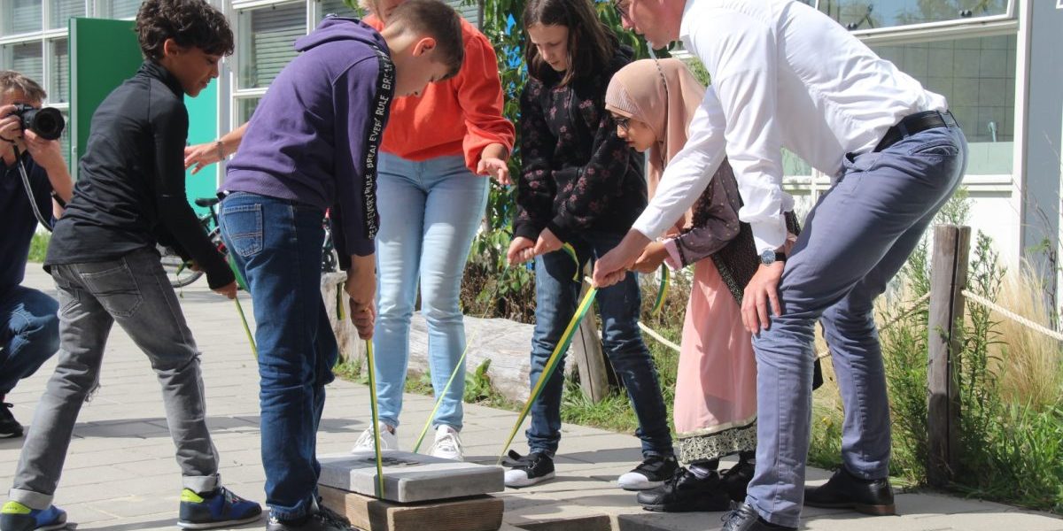 Gulden klinker Klimop 1