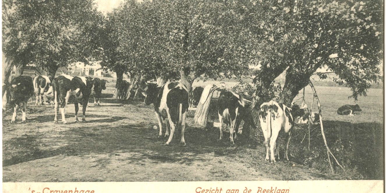 beeklaan
